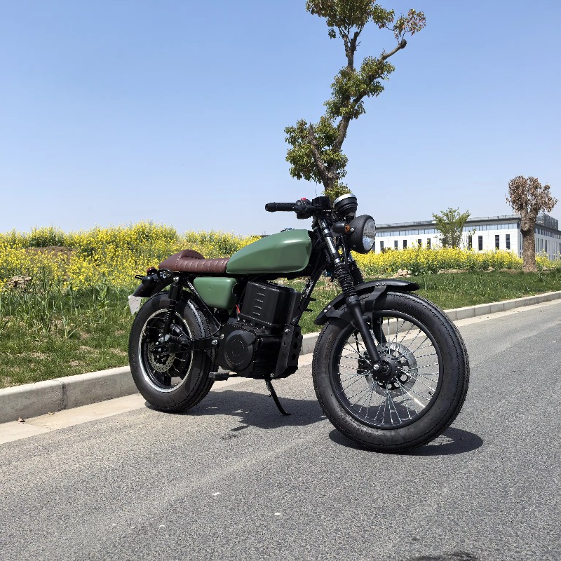 Krono Wild Çin Malı Büyük Teke - Motorcycle Chain incelemesi ve fiyatı
